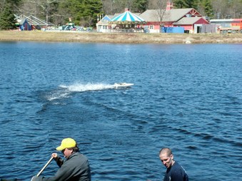 Enlarge photo 395