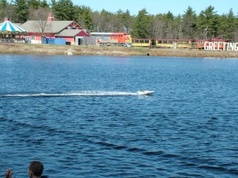 Enlarge photo 396