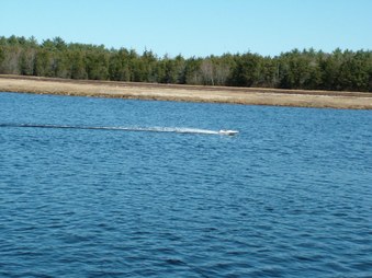 Enlarge photo 401