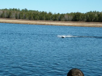 Enlarge photo 407