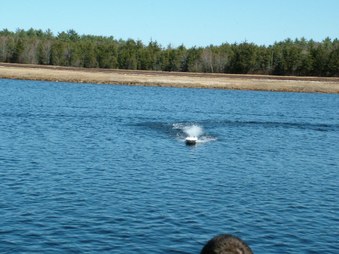 Enlarge photo 408