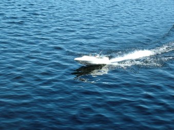 Enlarge photo 411