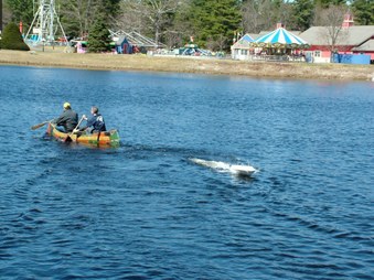 Enlarge photo 415