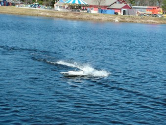 Enlarge photo 416