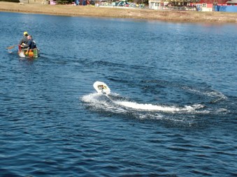 Enlarge photo 417