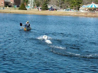 Enlarge photo 418