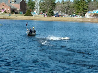 Enlarge photo 419