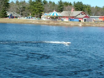 Enlarge photo 420