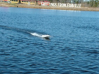Enlarge photo 422