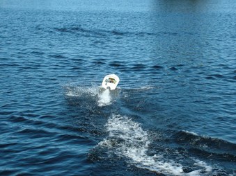 Enlarge photo 430