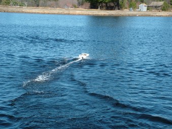 Enlarge photo 431