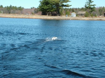 Enlarge photo 433