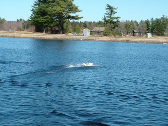 Enlarge photo 432