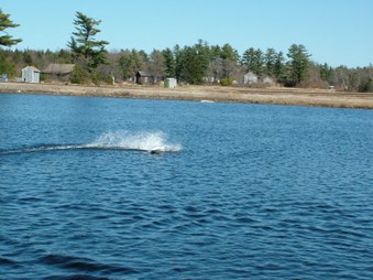 Enlarge photo 434