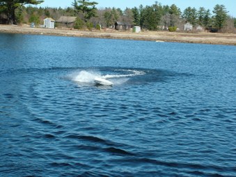 Enlarge photo 436
