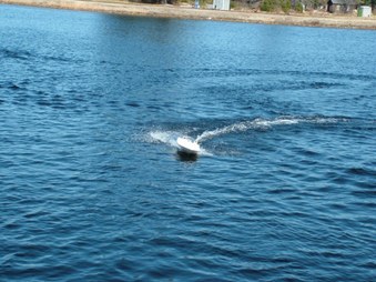 Enlarge photo 437