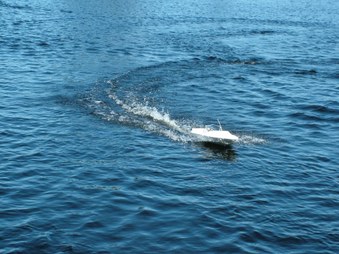 Enlarge photo 439