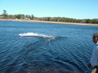 Enlarge photo 448