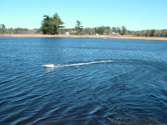 Enlarge photo 449