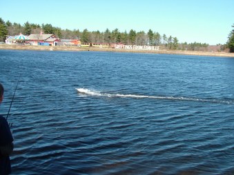 Enlarge photo 450