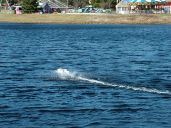 Enlarge photo 454