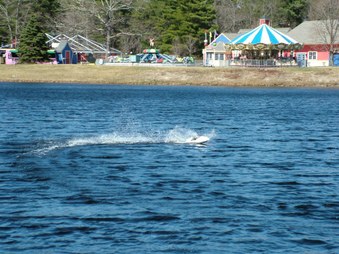 Enlarge photo 456