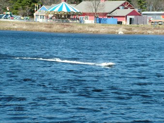 Enlarge photo 457