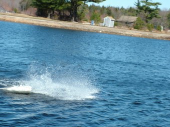 Enlarge photo 459