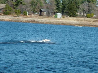 Enlarge photo 460