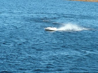 Enlarge photo 464