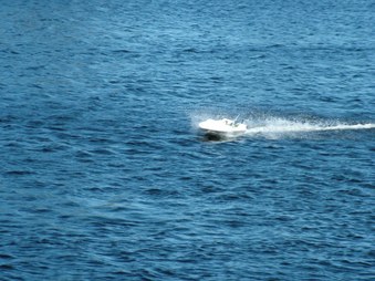 Enlarge photo 465