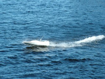 Enlarge photo 466