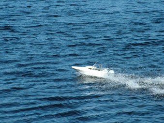 Enlarge photo 467