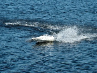 Enlarge photo 478