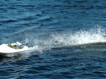 Enlarge photo 479