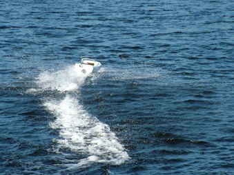 Enlarge photo 481