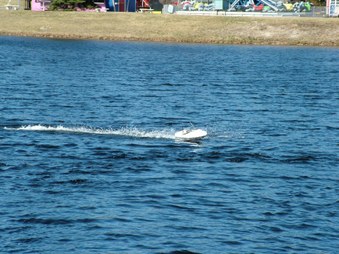 Enlarge photo 484