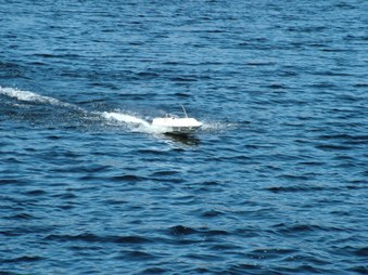Enlarge photo 486