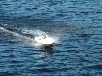 Enlarge photo 487