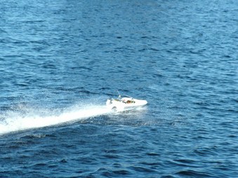 Enlarge photo 491