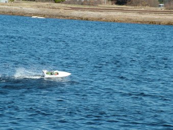 Enlarge photo 492