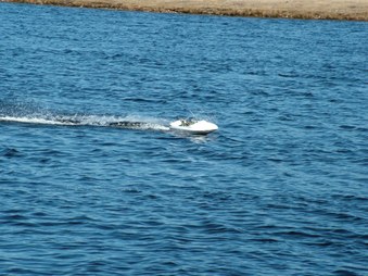 Enlarge photo 493