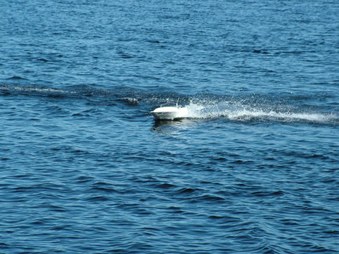 Enlarge photo 494