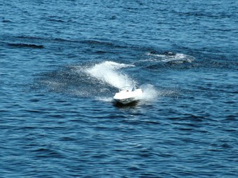 Enlarge photo 495