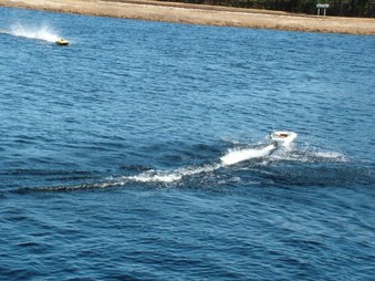 Enlarge photo 498
