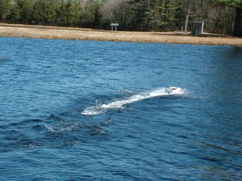 Enlarge photo 499