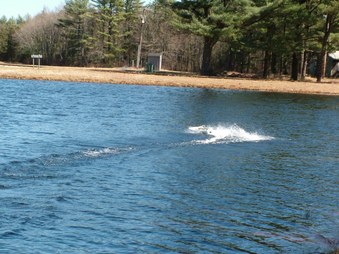 Enlarge photo 500