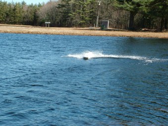 Enlarge photo 501