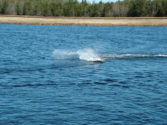 Enlarge photo 503