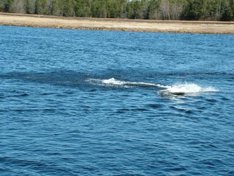 Enlarge photo 504